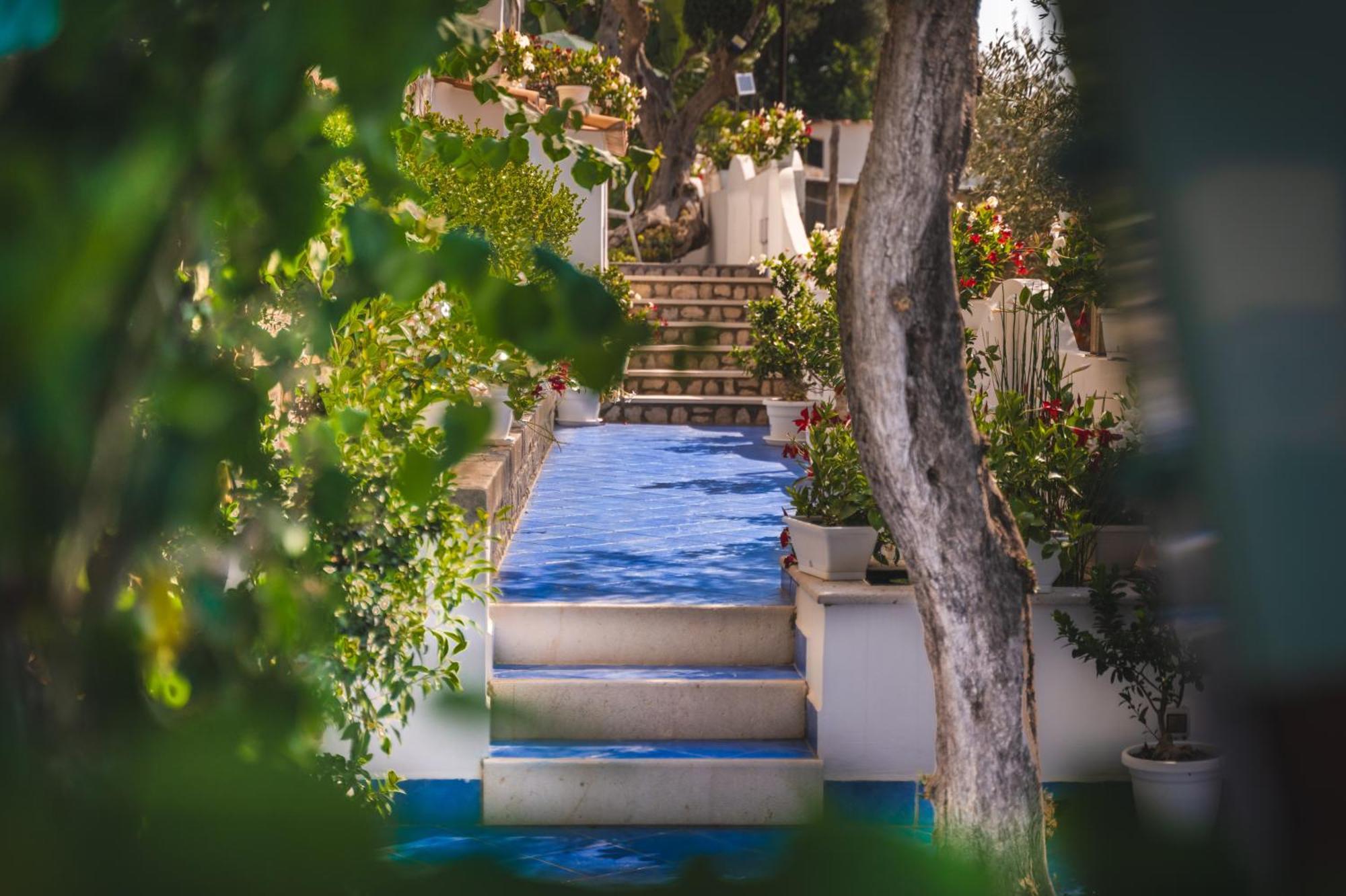 Villa Islamorada Pool And Sea View Massa Lubrense Εξωτερικό φωτογραφία